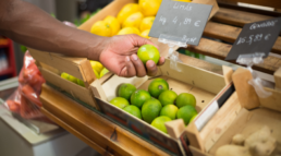 Impacto de los envases de madera en la exportación de alimentos