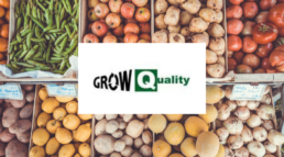 envases de madera GROW sostenibles