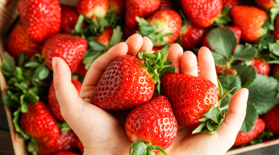 Fabricantes de envases de madera para productos frescos Fabricantes de envases de madera para productos frescos