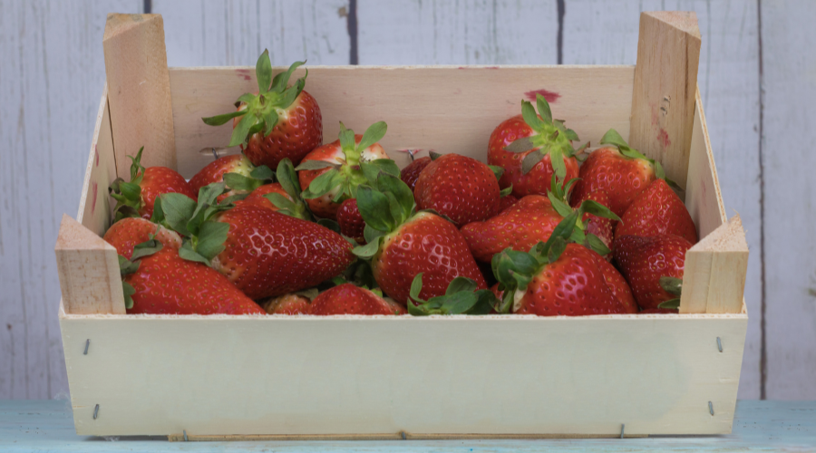envases de madera para frutas envases de madera para frutas