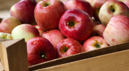 fabricación de envases de madera