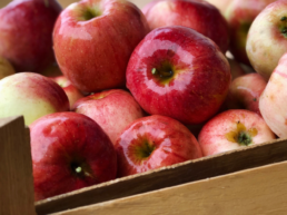 fabricación de envases de madera