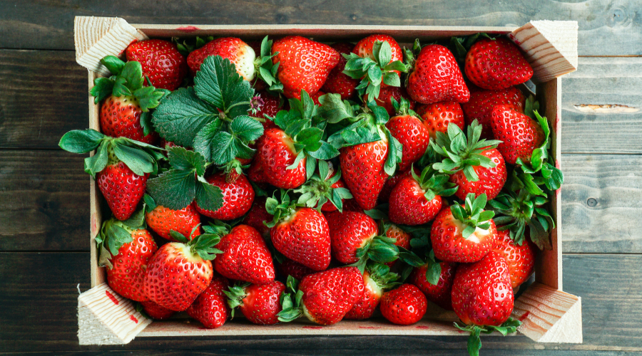 Generan empleo los envases de madera