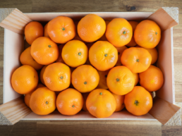 envases de madera y economía