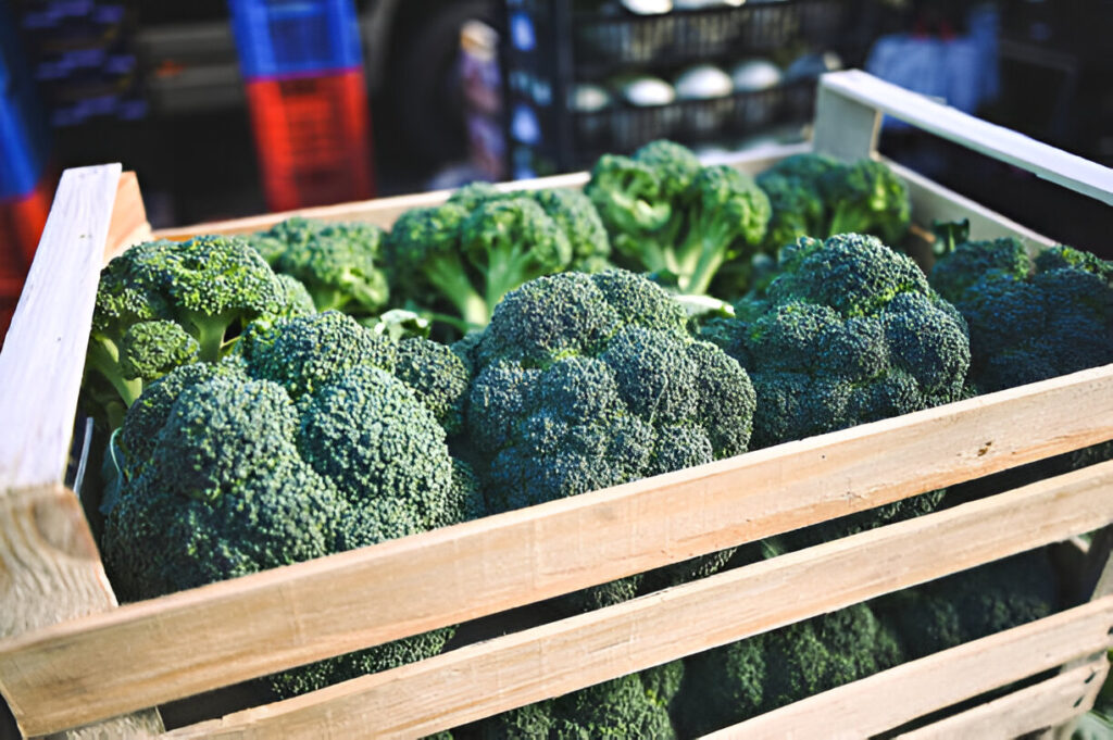 Fabricantes de envases de madera para frutas y verduras