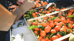 ECOWOOX®: El sello que garantiza la reciclabilidad