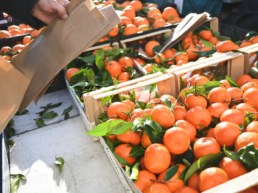 ECOWOOX®: El sello que garantiza la reciclabilidad