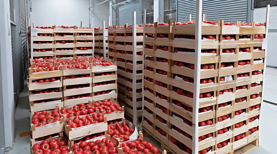 Fabricantes de envases de madera para frutas y verduras