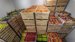 elegir envases de madera para el transporte de frutas y verduras