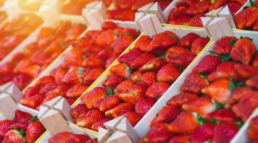 Envases de madera pequeños