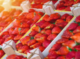 Envases de madera pequeños