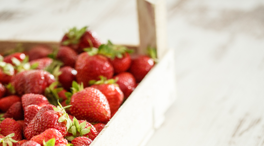 Nuestros certificados: garantía de compromiso y calidad