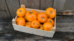 calidad en envases de madera