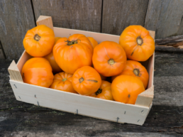 calidad en envases de madera