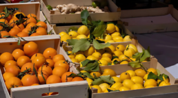 envases de madera para la comercialización de limones