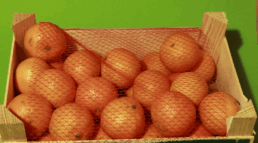 envases de madera para la exportación de productos frescos