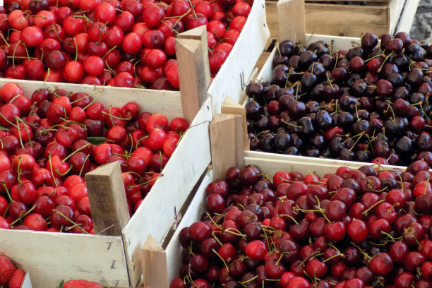 envases de madera para la exportación de productos frescos