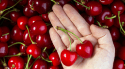 Envases de madera para cerezas