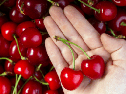 Envases de madera para cerezas