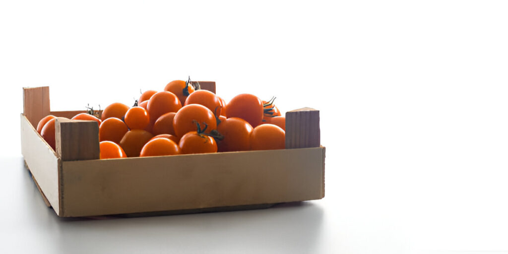 nuestro envase 20x15 cm para tomates cherry nuestro envase 20x15 cm para tomates cherry