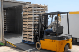 normativa afecta al uso de envases de madera