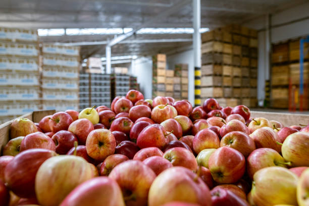 La ventaja estructural del envase contrachapado para productos perecederos