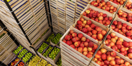 envases de madera para frutas y verduras