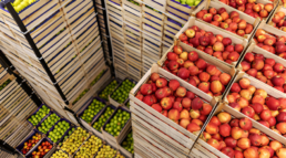 envases de madera para frutas y verduras