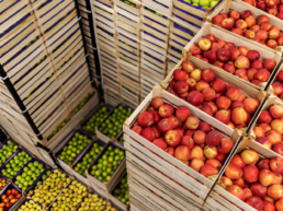 envases de madera para frutas y verduras