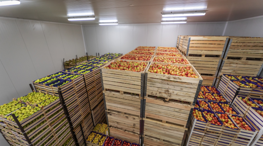 certificación BRC Packaging