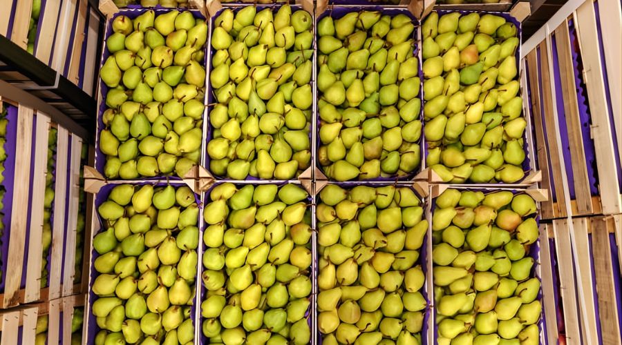 fabricantes de envases de madera para frutas y verduras