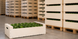 envases de madera para frutas de gran formato