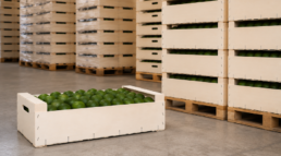 envases de madera para frutas de gran formato