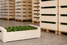 envases de madera para frutas de gran formato