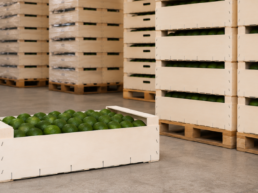 envases de madera para frutas de gran formato