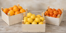 envase de naranjas mandarinas y limones