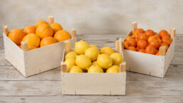 envase de naranjas mandarinas y limones