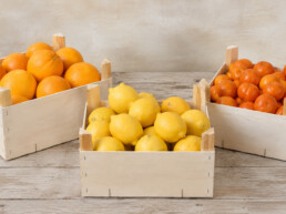 envase de naranjas mandarinas y limones