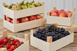 envases para frutas y verduras
