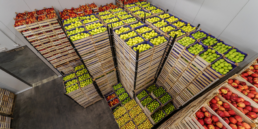 envases de madera para exportación hortofrutícola