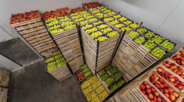envases de madera para exportación hortofrutícola