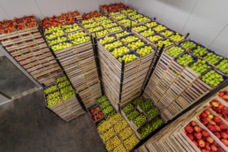 envases de madera para exportación hortofrutícola